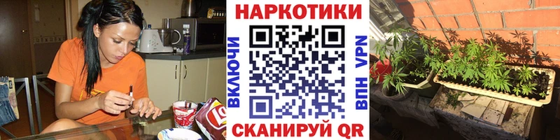 Магазины продажи наркотиков Истра Псилоцибиновые грибы  Мефедрон  ГАШИШ  Канабис  Cocaine  A-PVP 