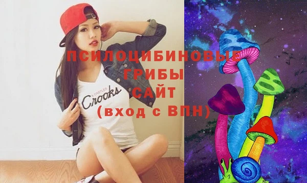 СК Нестеровская