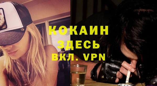 не бодяженный Новозыбков