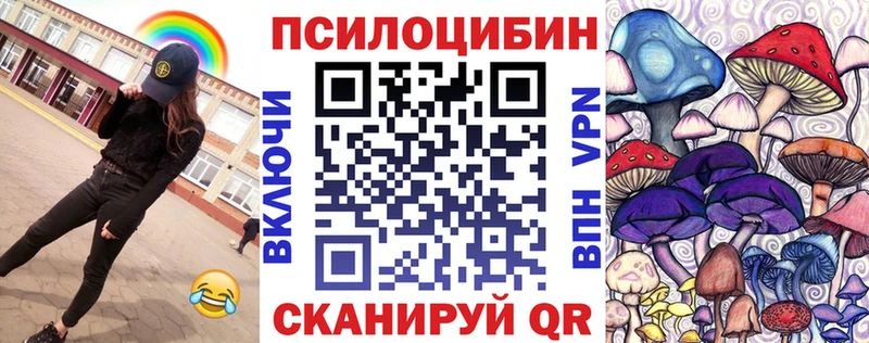 Псилоцибиновые грибы Cubensis  Истра 