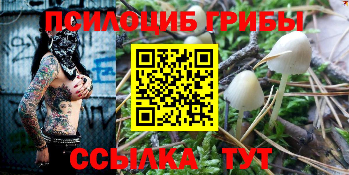Псилоцибиновые грибы ЛСД Истра