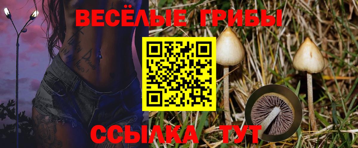 Molly  Марихуана  Вход с VPN  Кокаин  A PVP  Гашиш  Мефедрон  Мяу-Мяу  Купить наркоту  Истра  МДМА 