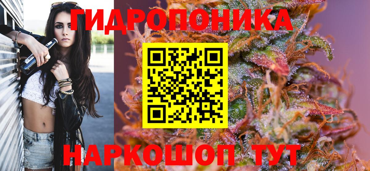 Каннабис сатива Истра